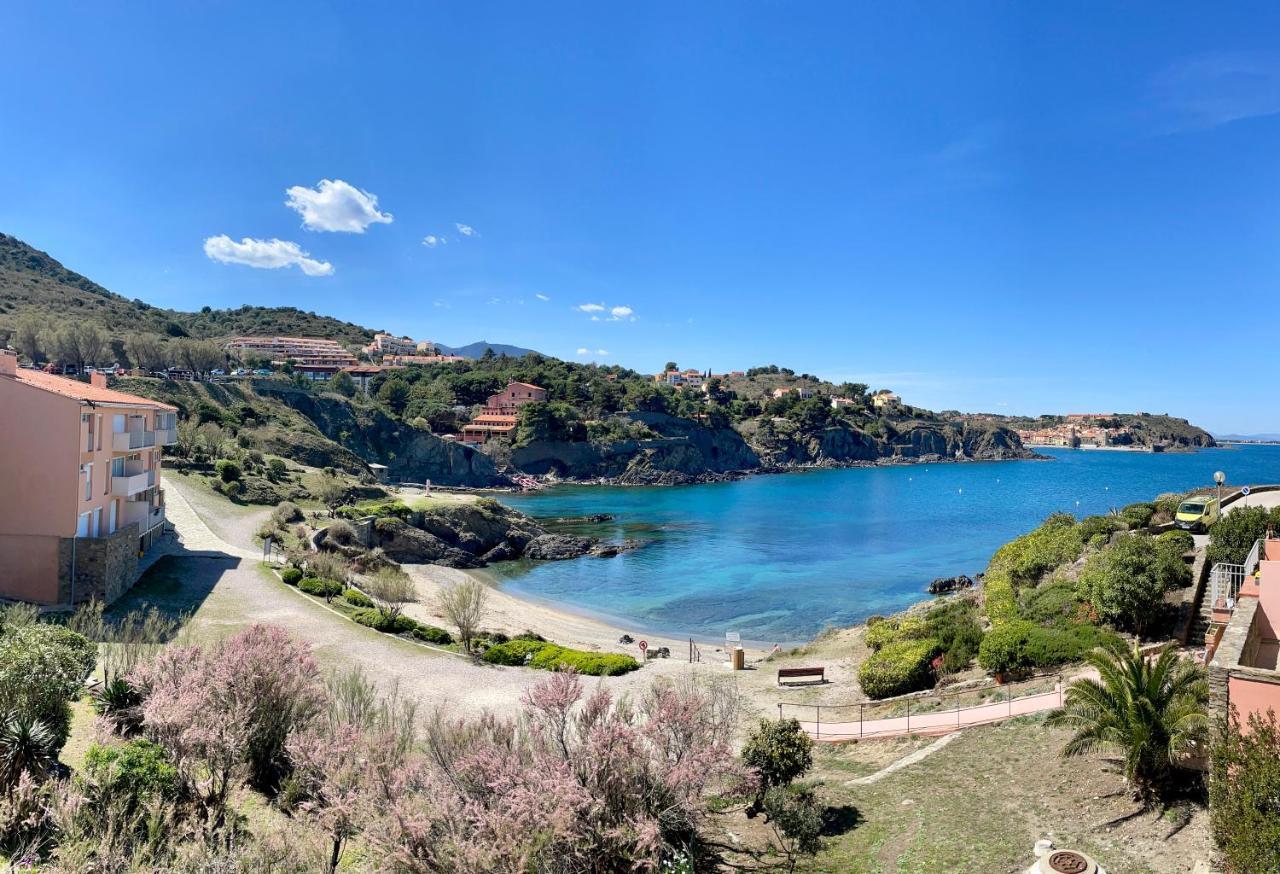 Splendide Appartement Climatise Avec Vue Sur Mer Et Clocher - Parking Et Wifi Collioure Exterior photo