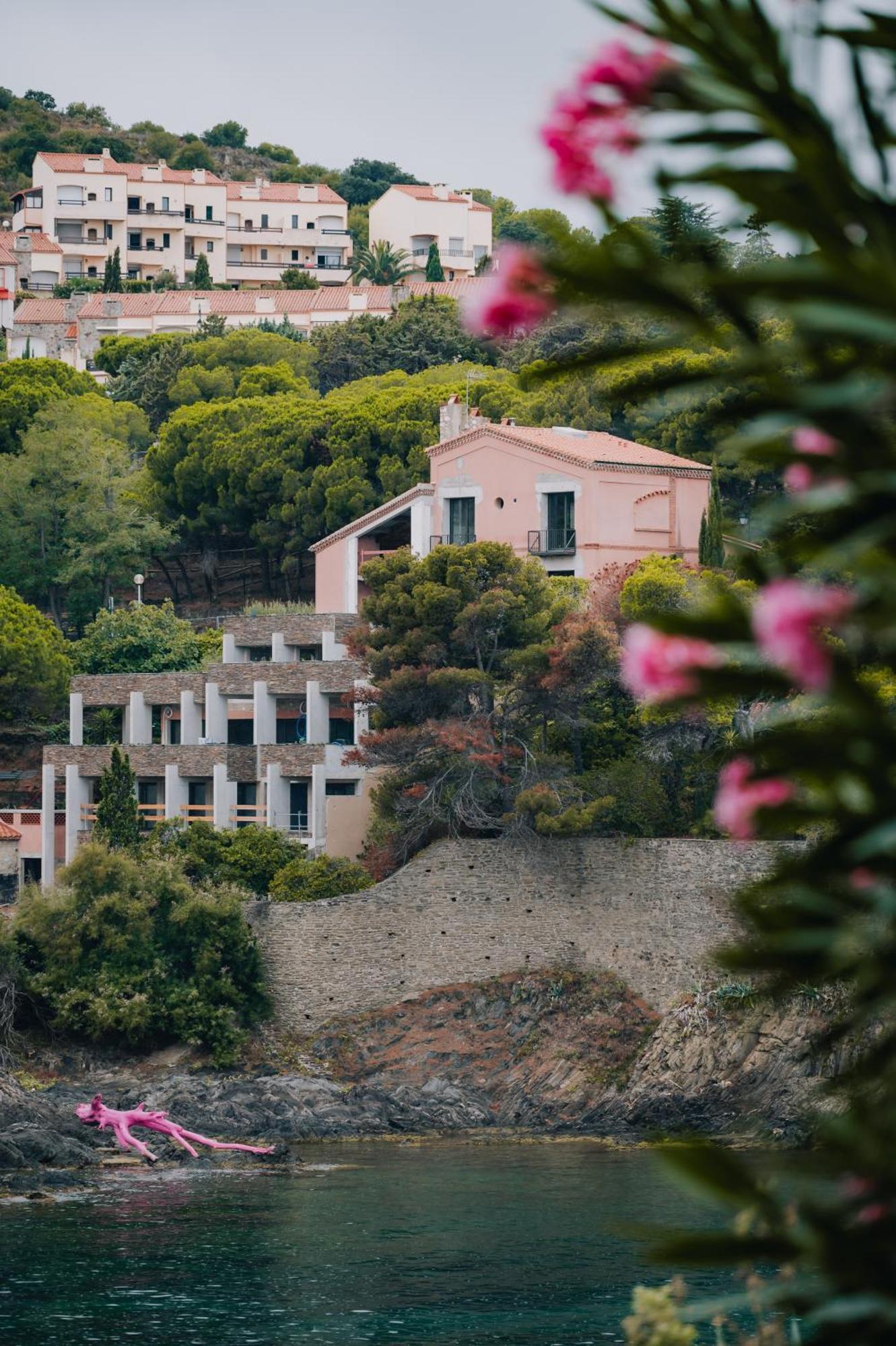 Splendide Appartement Climatise Avec Vue Sur Mer Et Clocher - Parking Et Wifi Collioure Exterior photo